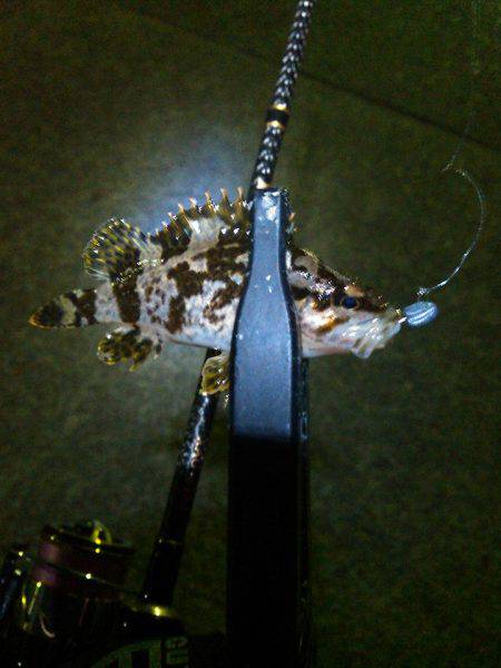 風が吹いたり止んだり